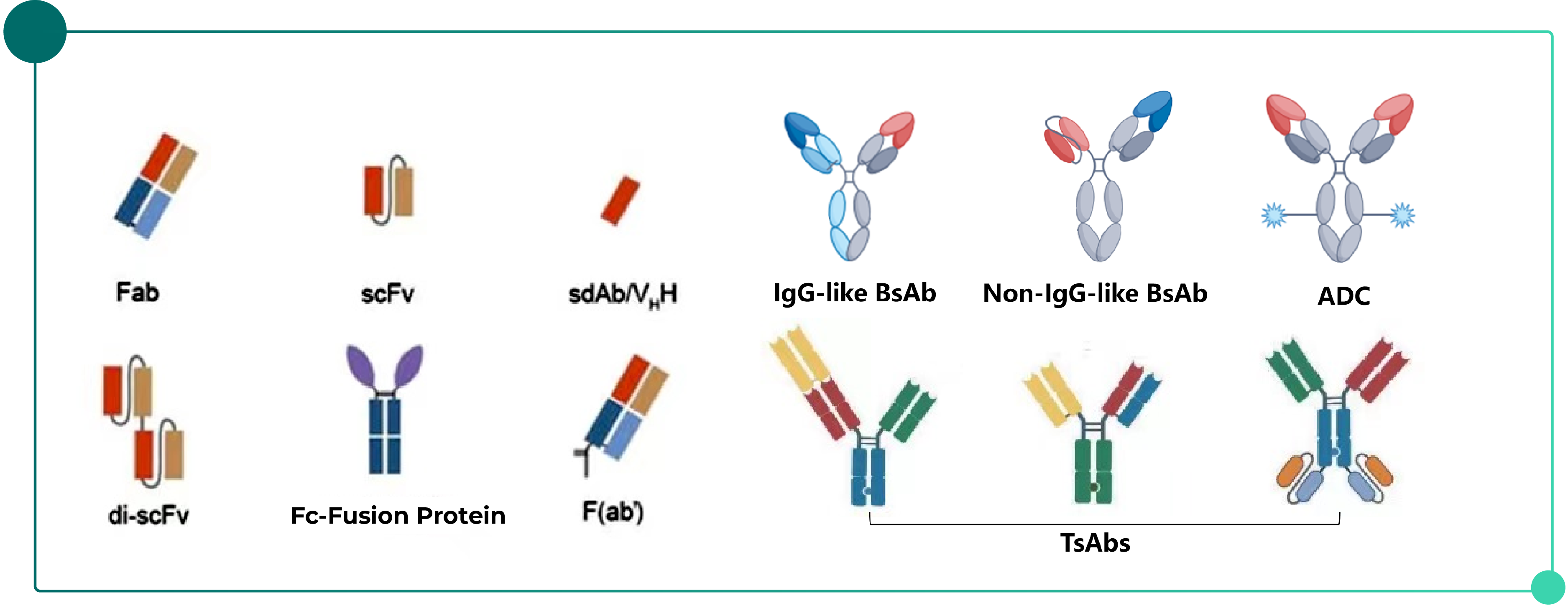 Introduction to Antibody Purification-pic-03